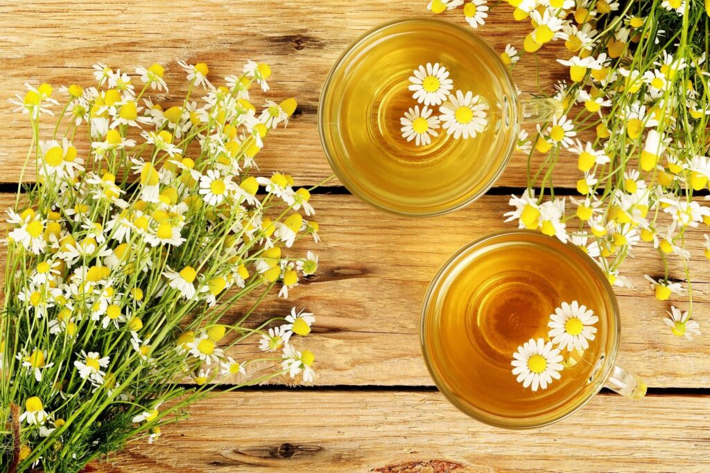 Is It Safe to Drink Chamomile Tea During Pregnancy?