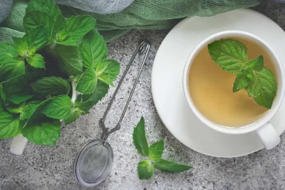 Peppermint tea during pregnancy